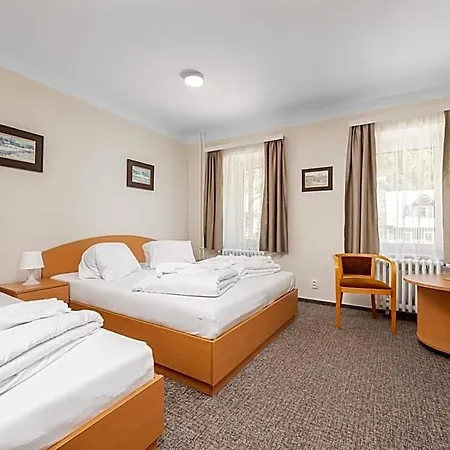 Hotel Horsky Jelinek 3*