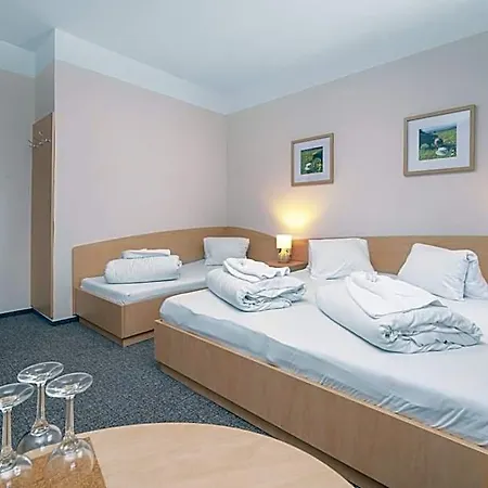Horsky Jelinek 3* Janov nad Nisou