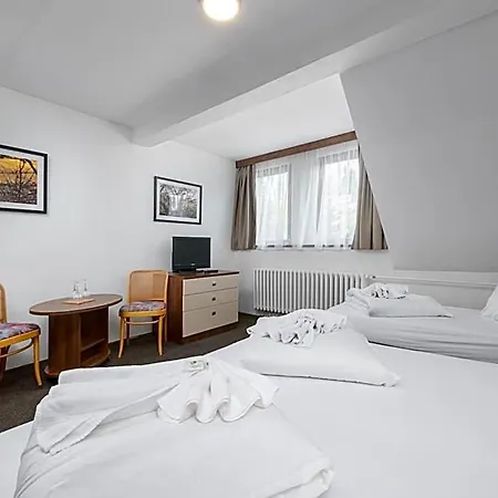Hotel Horsky Jelinek 3*