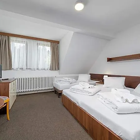 Horsky Jelinek Hotel Janov nad Nisou